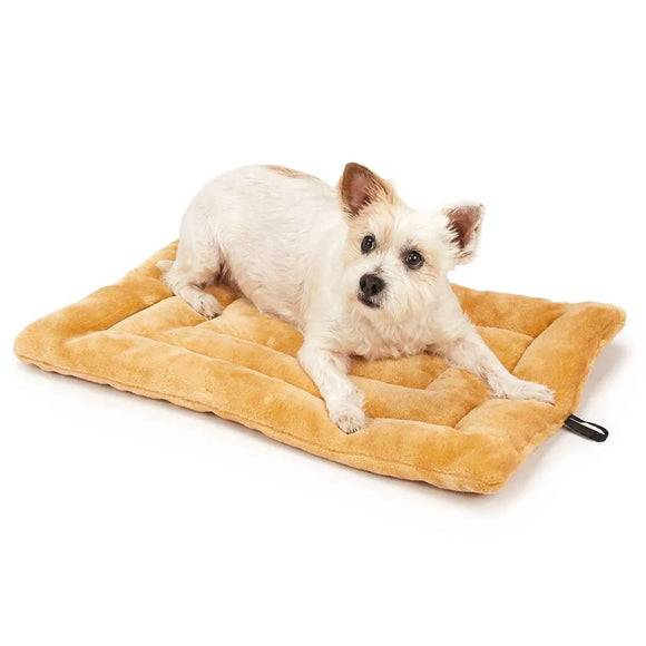 Small white dog lying on a brown pet bed with a white background