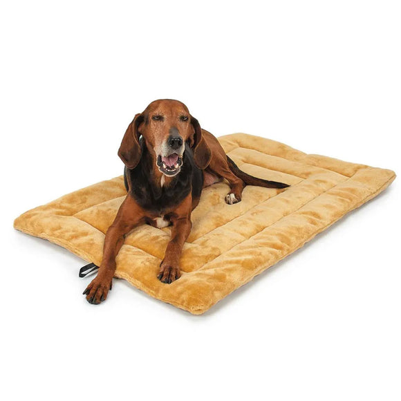 Dog lying on a plush brown dog bed with a white background