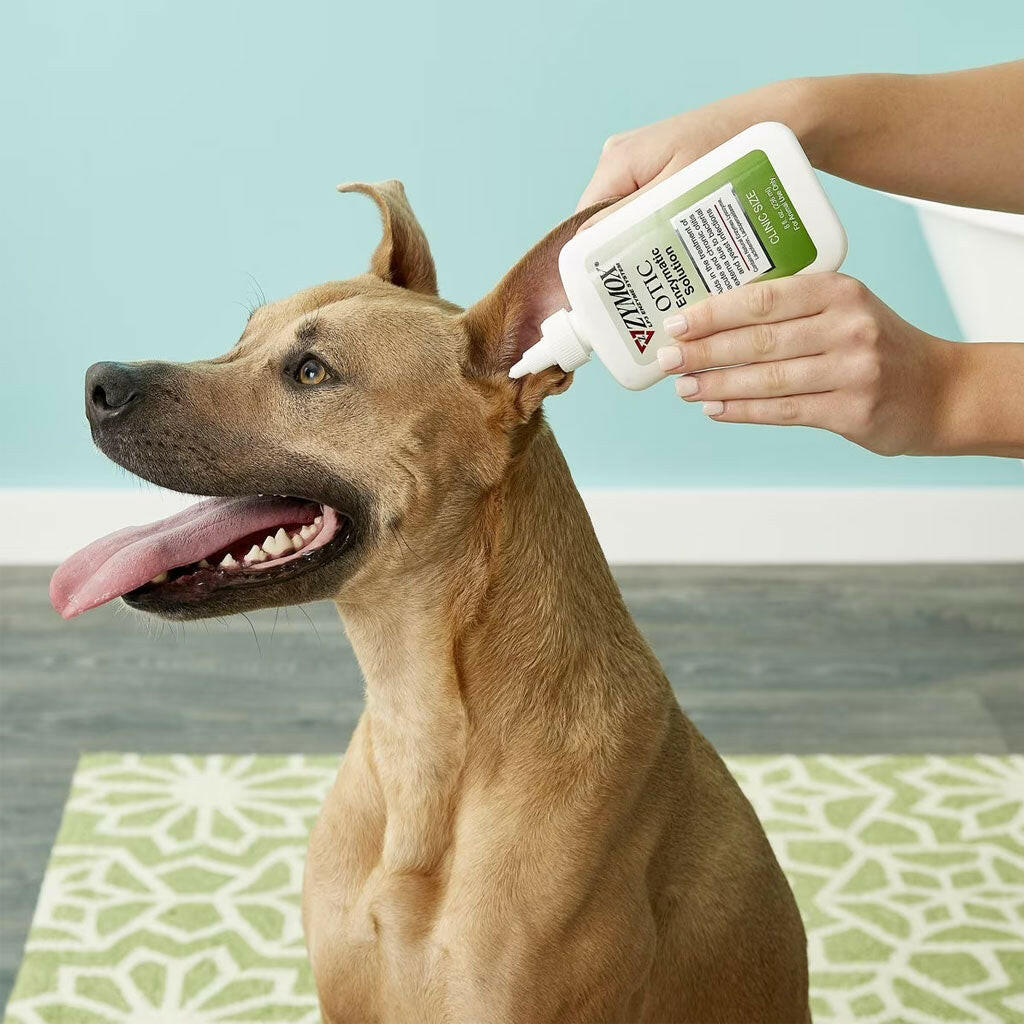 zymox otic enzymatic solution with dogs