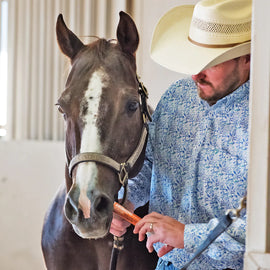 Equine Probiotic Paste (single) - Horse Health & Wellness 2