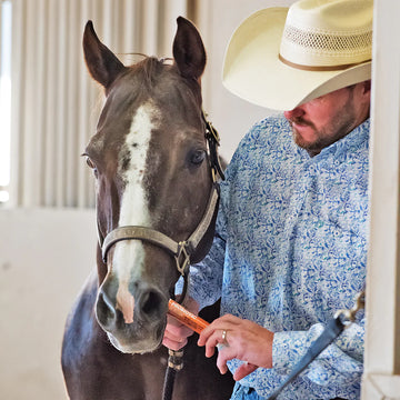 Equine Probiotic Paste (single) - 0