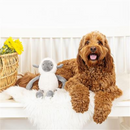 PetShop by Fringe Studio Little Lamby Plush Dog Toy-4