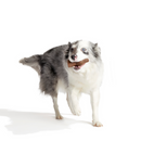 Bark Yummy Bunny Chew Toy, Medlum/Large-3