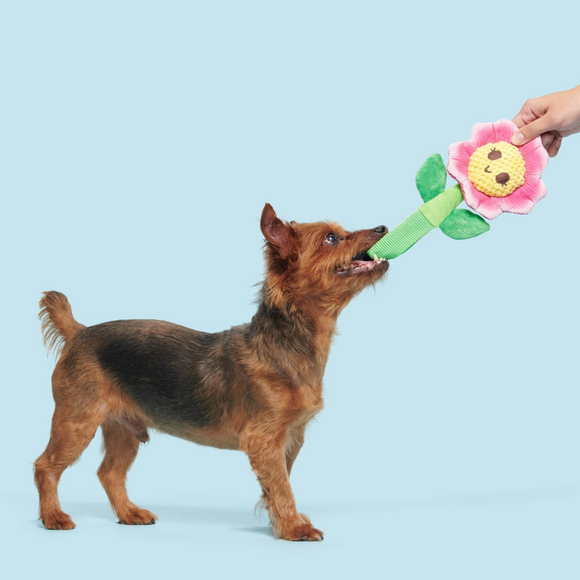 BARK Penny Pechewnia Plush Dog Toy