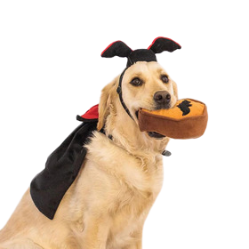 ZippyPaws Dracula Costume Kit – Dogs