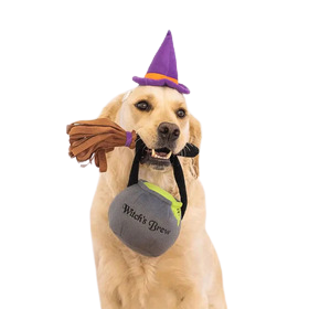 ZippyPaws Witch Costume Kit – Dogs