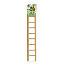 A & E Cages Wooden Climbing Ladder Bird Cage Toy for Birds - Medium