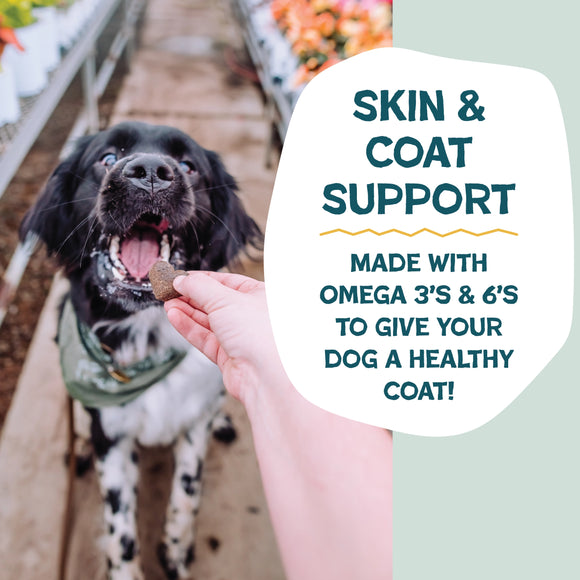 Shameless Pets Bananas For Bacon Soft Baked Dog Treats (6 oz)