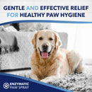 Tropiclean OxyMed Enzymatic Paw Odor & Itch Spray, 8-oz-11