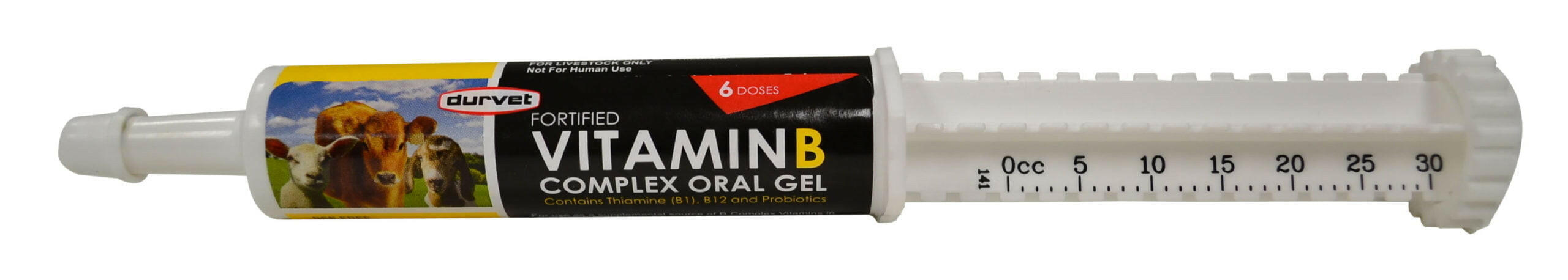 fortified vitamin b complex oral gel