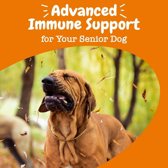 Zesty Paws Senior Advanced Allergy Immune Salmon Flavored Soft Chews Skin Support For Dog (90 ct)
