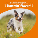 Zesty Paws Salmon Bites Skin Health Support Supplement For Dog (90 ct)
