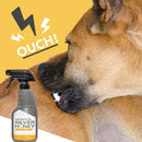 Absorbine Silver Honey Hot Spot & Wound Care Spray Gel (8 oz)