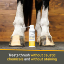 Absorbine Silver Honey Rapid Hoof Care Thrush Foam (200 ml) - Horse Hoof Care 4