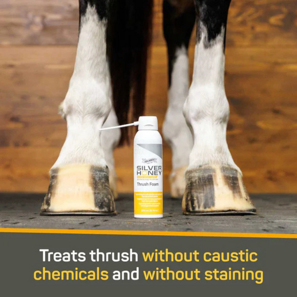 Absorbine Silver Honey Rapid Hoof Care Thrush Foam (200 ml) - Horse Hoof Care 4
