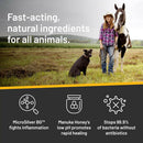 Absorbine Silver Honey Rapid Skin Relief Medicated Shampoo For Dogs & Cats (16 oz)