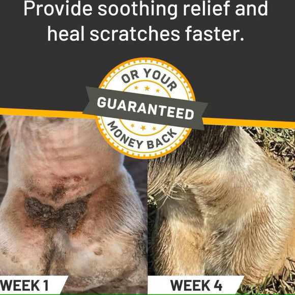 Absorbine Silver Honey Rapid Skin Relief Vet Strength Scratches Spray For Horses (6 oz)