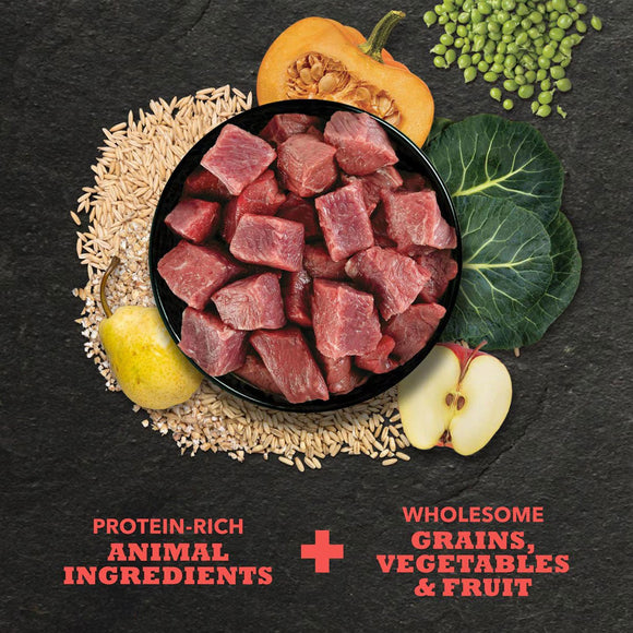 Diced meat in a bowl with grains, vegetables, and fruit on a dark background