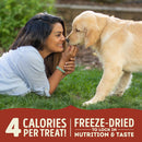Woman lying on grass with a dog, with text about freeze-dried treats.