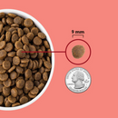 ACANA Highest Protein  Indoor Cat Recipe Dry Cat Food