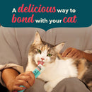 Cat being petted by a person with text 'A delicious way to bond with your cat' on a teal background