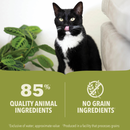 ACANA Premium Chunks Grainfree Beef Recipe in Bone Broth Wet Dog Food
