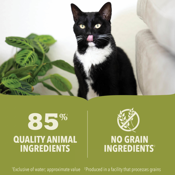 ACANA Premium Chunks Grainfree Beef Recipe in Bone Broth Wet Dog Food