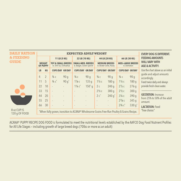 Feeding guide for dogs with weight and size chart on a beige background