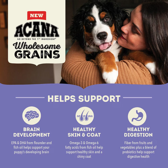 Acana Wholesome Grains dog food packaging with a woman and dog, highlighting benefits like brain development, healthy skin, and digestion.