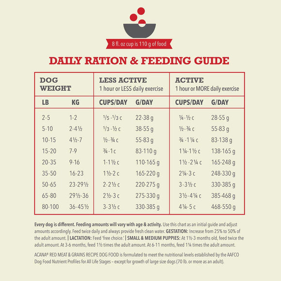 Dog feeding guide chart on a beige background with a red border