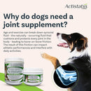 Actistatin Canine Extra-Strength Hip & Joint Soft Chews for Dogs