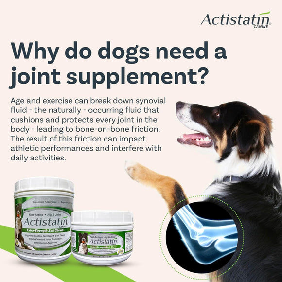 Actistatin Canine Extra-Strength Hip & Joint Soft Chews for Dogs