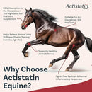 Actistatin Equine Maximum Absorption Joint Support Formula (39.65 oz, 90 day supply)