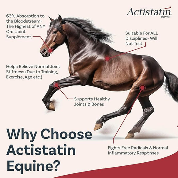 Actistatin Equine Maximum Absorption Joint Support Formula (39.65 oz, 90 day supply)