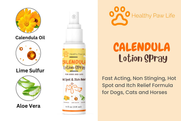 Healthy Paw Life Calendula Lotion Spray for Dogs & Cats, 4-oz