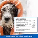 Adams Plus Flea & Tick Foaming Shampoo & Wash for Dogs & Puppies (10 oz)