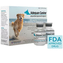 adequan injection dog