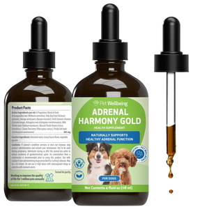 Adrenal Harmony Gold for Cushing’s Disease in Dogs - 2 oz - Dog Skin & Coat Supplements 1