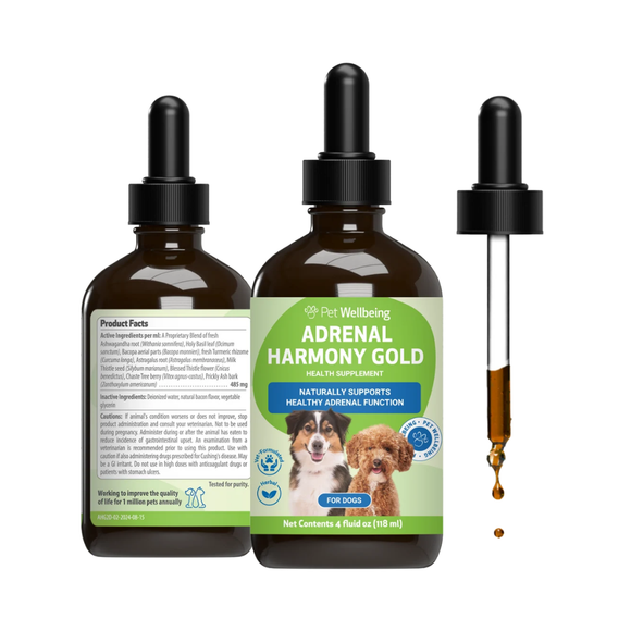 Adrenal Harmony Gold for Cushing’s Disease in Dogs - 4 oz - Dog Skin & Coat Supplements 3