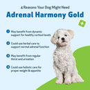 Adrenal Harmony Gold for Cushing’s Disease in Dogs - Dog Skin & Coat Supplements 5