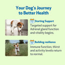Adrenal Harmony Gold for Cushing’s Disease in Dogs - Dog Skin & Coat Supplements 12