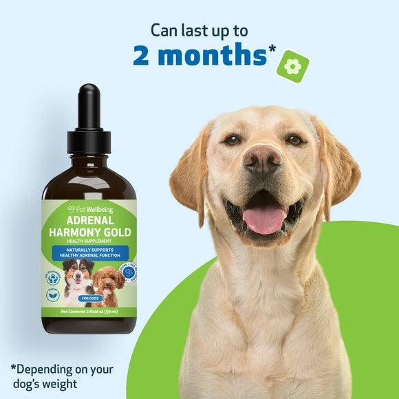 Adrenal Harmony Gold for Cushing’s Disease in Dogs - Dog Skin & Coat Supplements 13