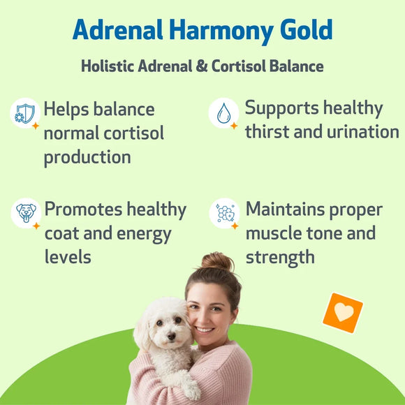 Adrenal Harmony Gold for Cushing’s Disease in Dogs - Dog Skin & Coat Supplements 4