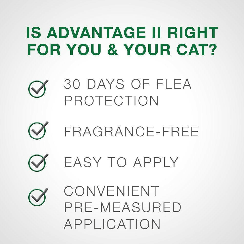 Advantage II Flea Control for Kittens 2-5 lbs (2 doses 2