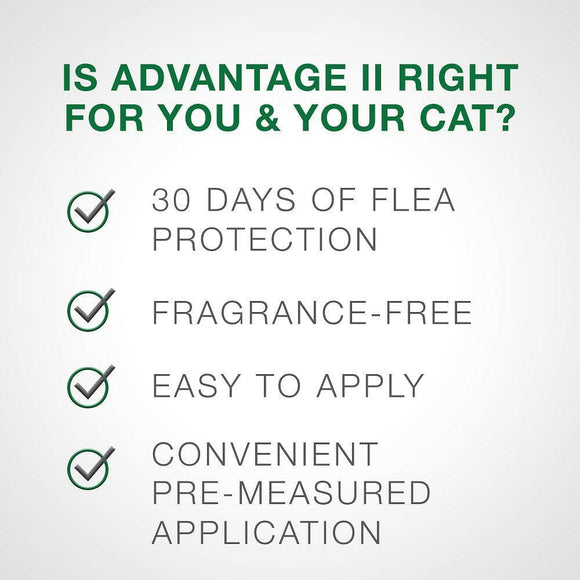 Advantage II Flea Control for Large Cats (Over 9 lbs) Purple Box