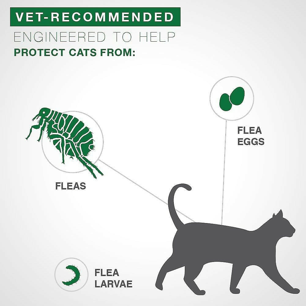 Advantage II Flea Control for Cats | Over 9 lbs | Purple Box