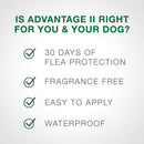 Advantage II Flea Control for Large Dogs (21-55 lbs) Red Box