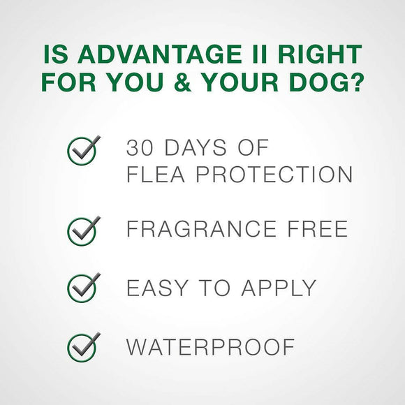 Advantage II Flea Control for Large Dogs (21-55 lbs) Red Box