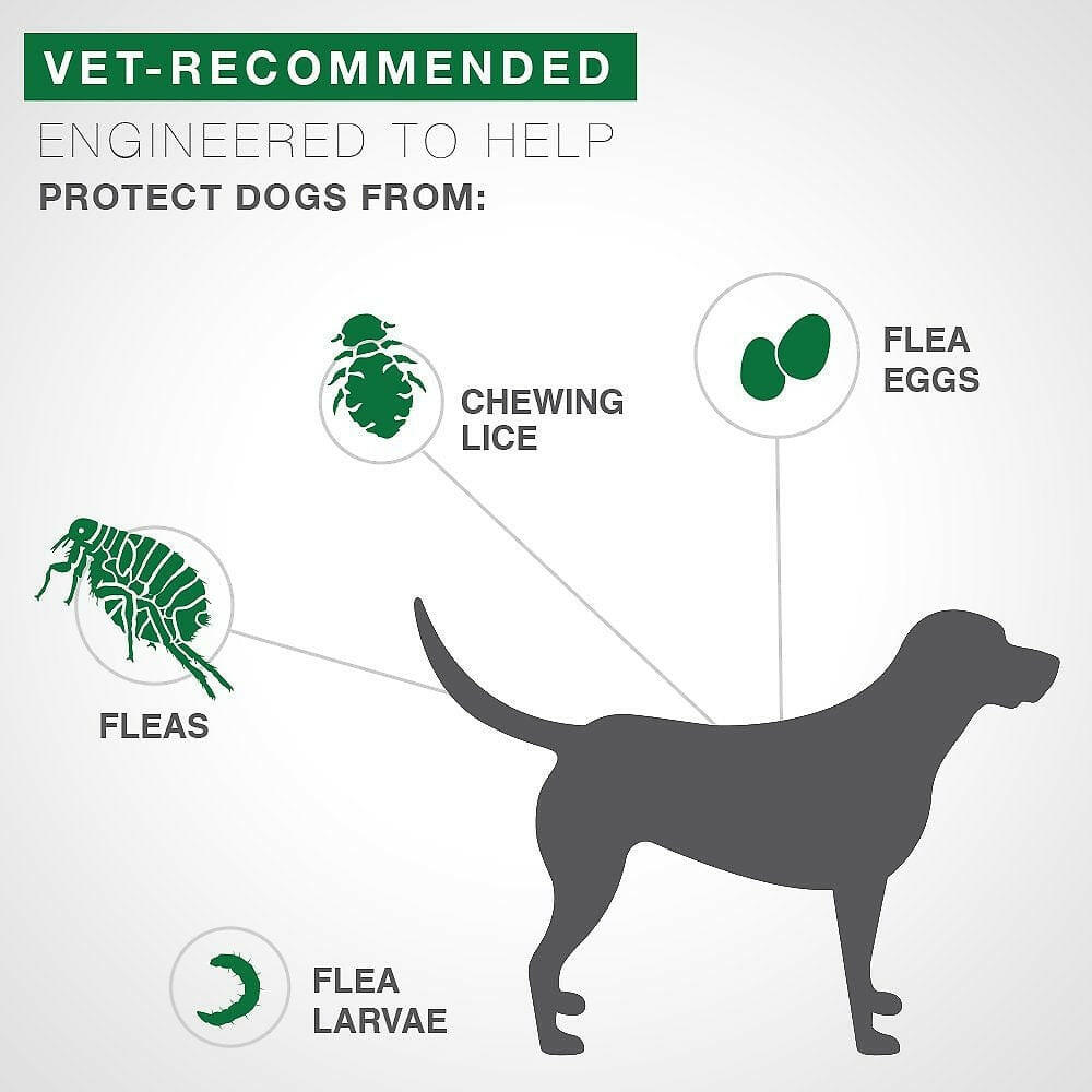 Advantage II Complete Flea Protection for Small Dogs, 3-10 lbs