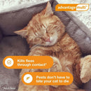 Advantage Multi  for Cats, 9.1-18 lbs